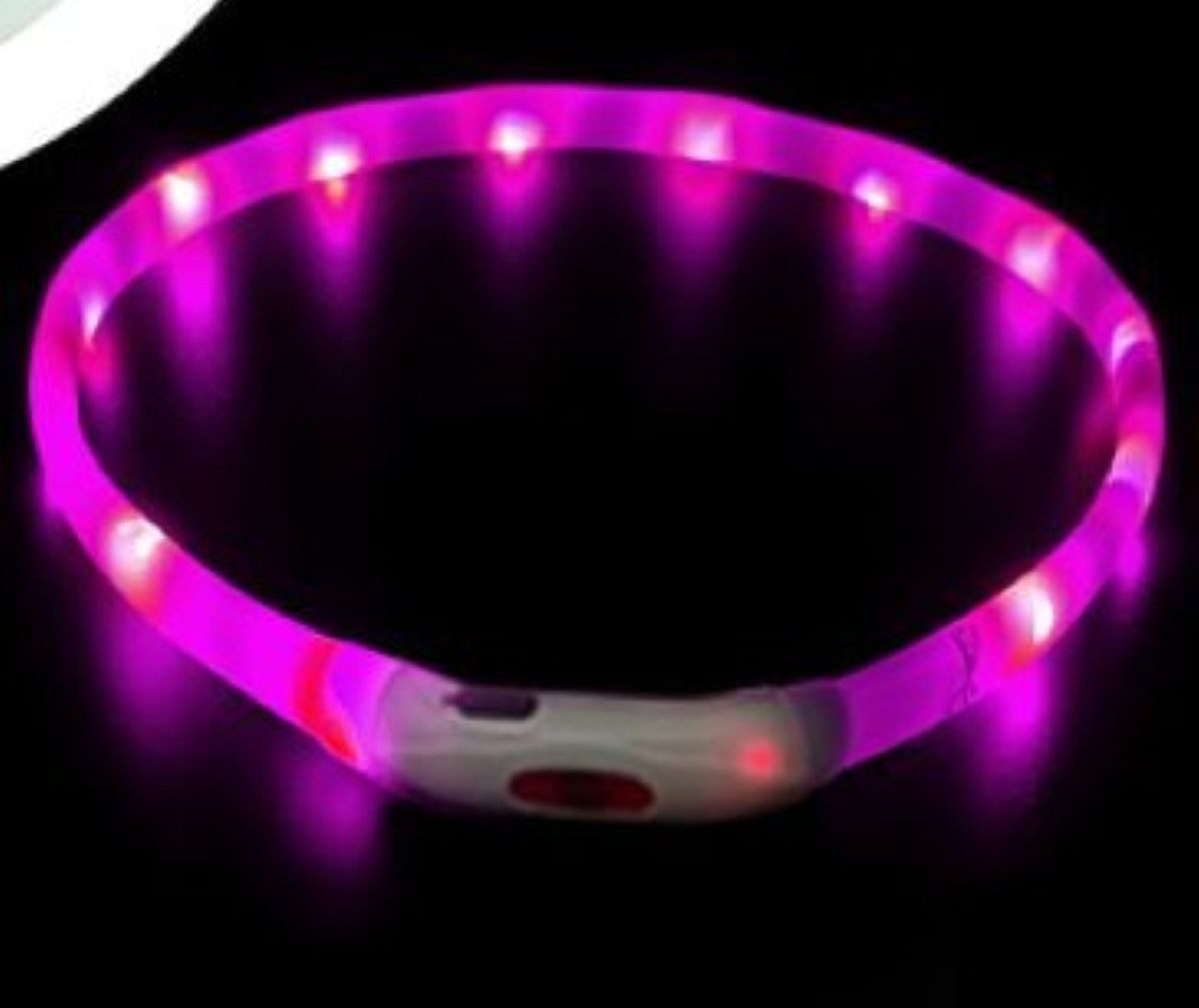Illes-Laedchen Hunde-Halsband Hunde-Halsband LED Leuchtring Leuchthalsband große Farbauswahl, wiederaufladbar mit mitgeliefertem Kabel Typ C von Illes-Laedchen