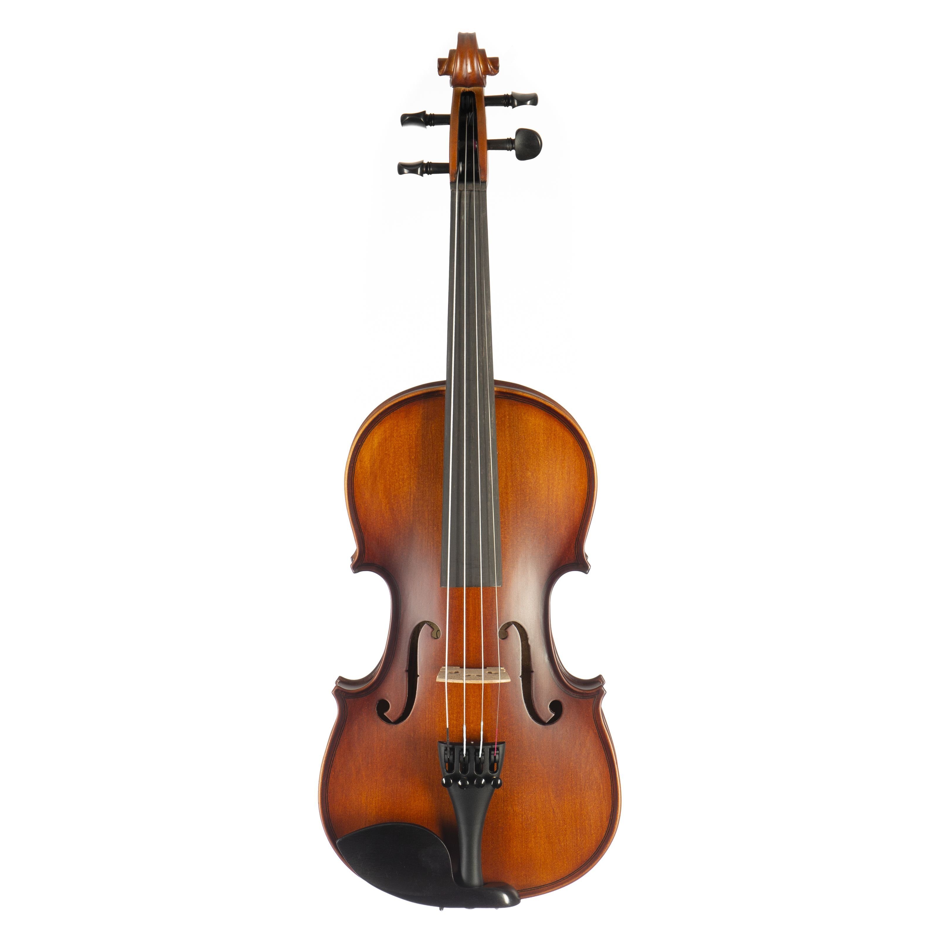 Violine