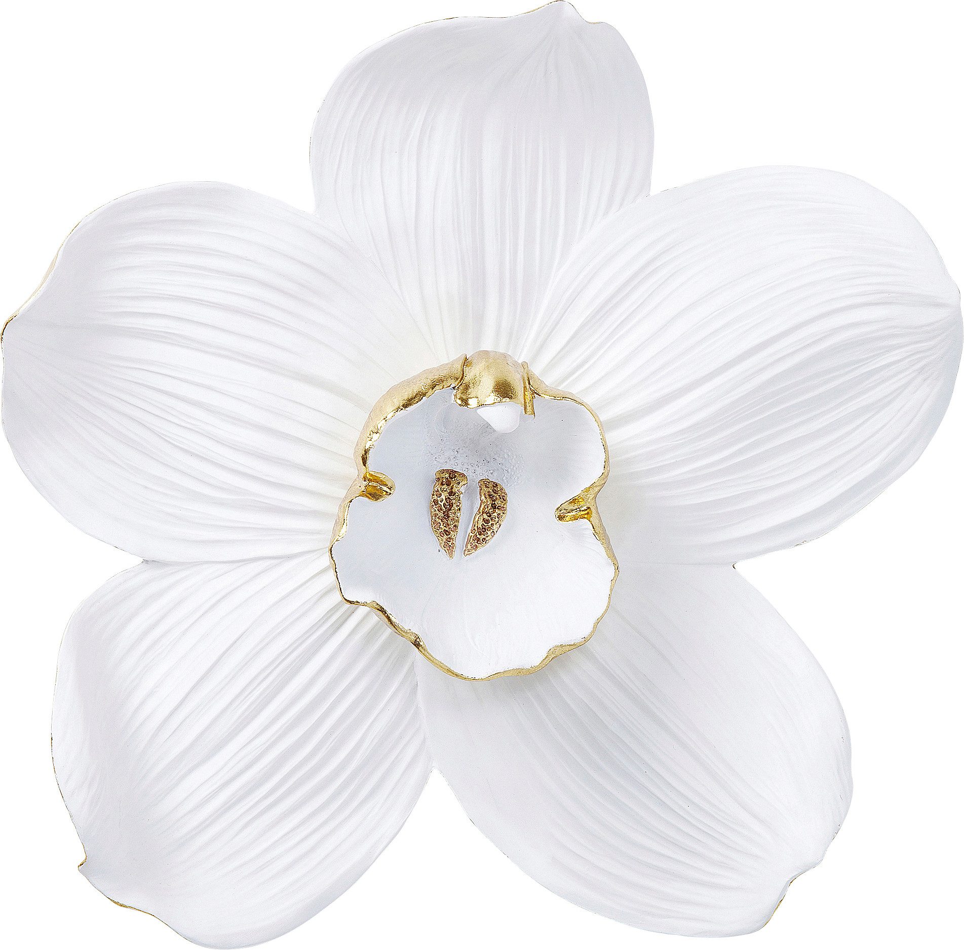 Wanddekoobjekt Wandschmuck Orchid Weiß 54cm