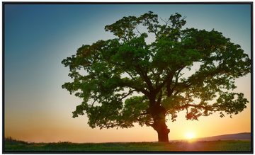 Papermoon Heizkörper Sonnenuntergang, Baum als Bildheizung, im schwarzen Aluminiumrahmen, HZ(4894), TÜV-Rheinland/GS zertifiziert, angenehme Strahlungswärme