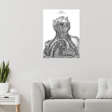 Posterlounge Poster Master Collection, Anatomie des Nervensystems im Herzen, Hals und Arm, Arztpraxis Illustration