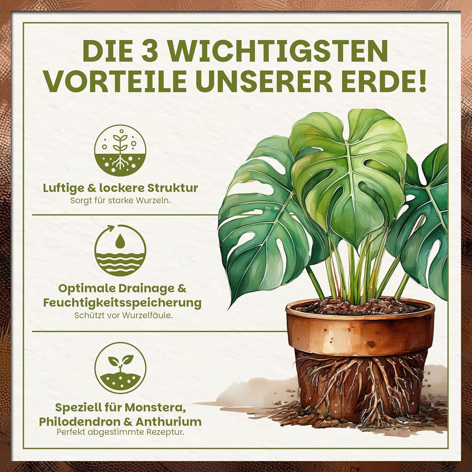 GREEN HOME LOVE NATURE Spezialerde Aroid Erde – Spezialerde für Monstera, Philodendron & Zimmerpflanzen 18 L, 36 L, 72 L, Langzeitdünger, Perlit, Kokosfasern, pH 5,8, gute Drainage