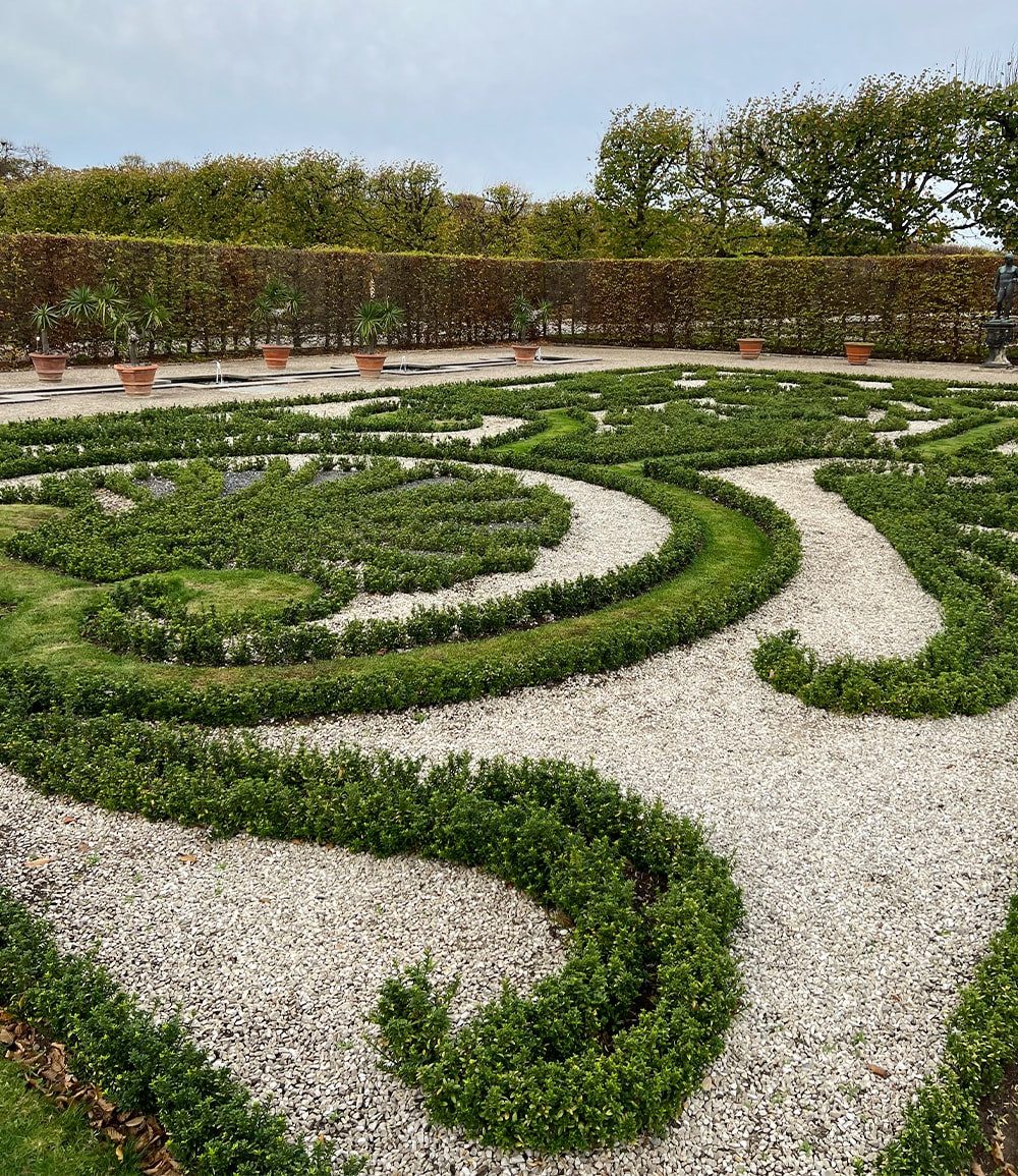 BALDUR Garten Zierstrauch Euonymus 'Green Empire®', 1 St., Dunkelgrün, immergrün,winterhart, mehrjährig, pflegeleicht – Bild 4 von 4