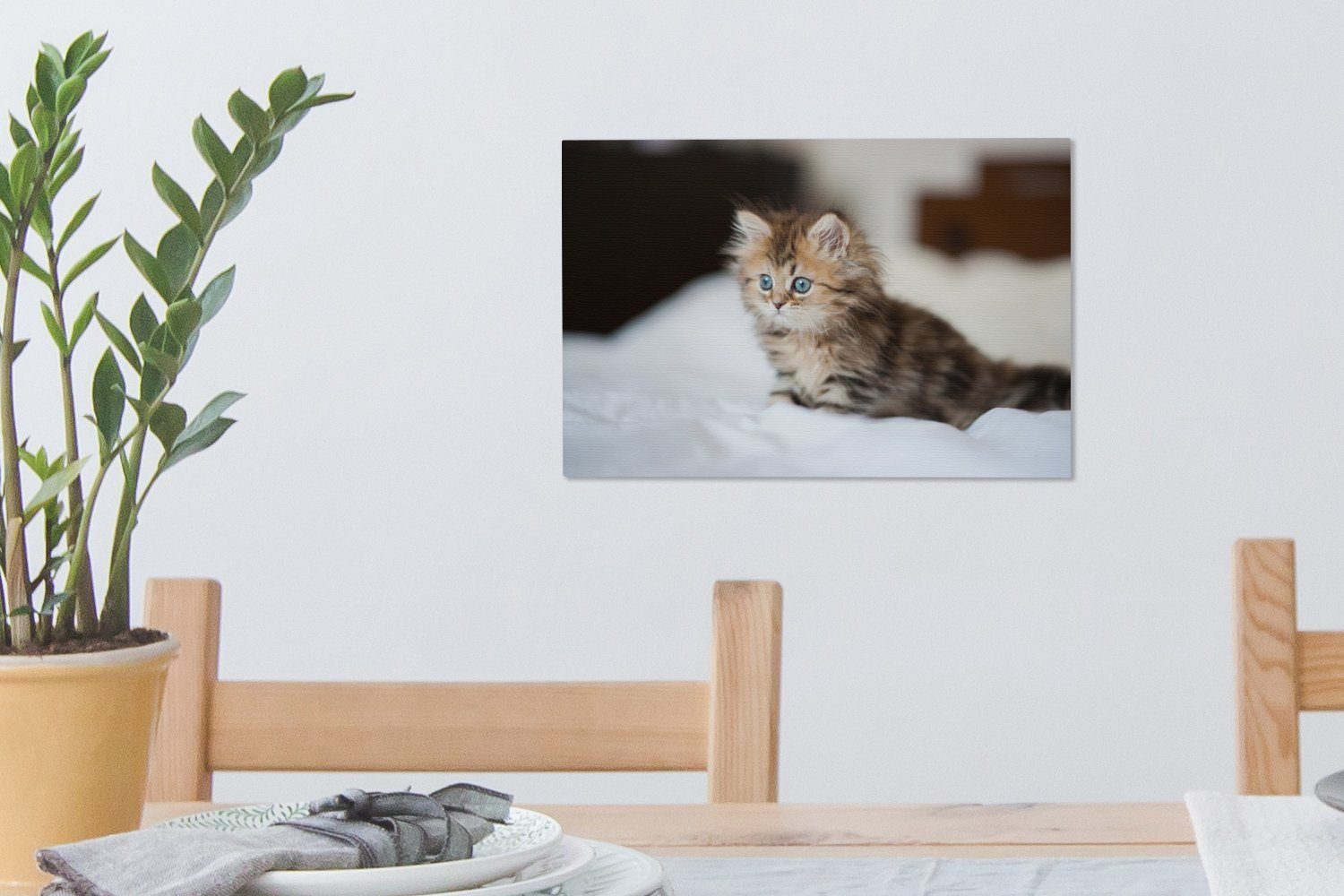 Aufhängefertig, Leinwandbilder, Niedliches Wandbild Kätzchen, OneMillionCanvasses® St), (1 persisches 30x20 cm Leinwandbild Wanddeko,