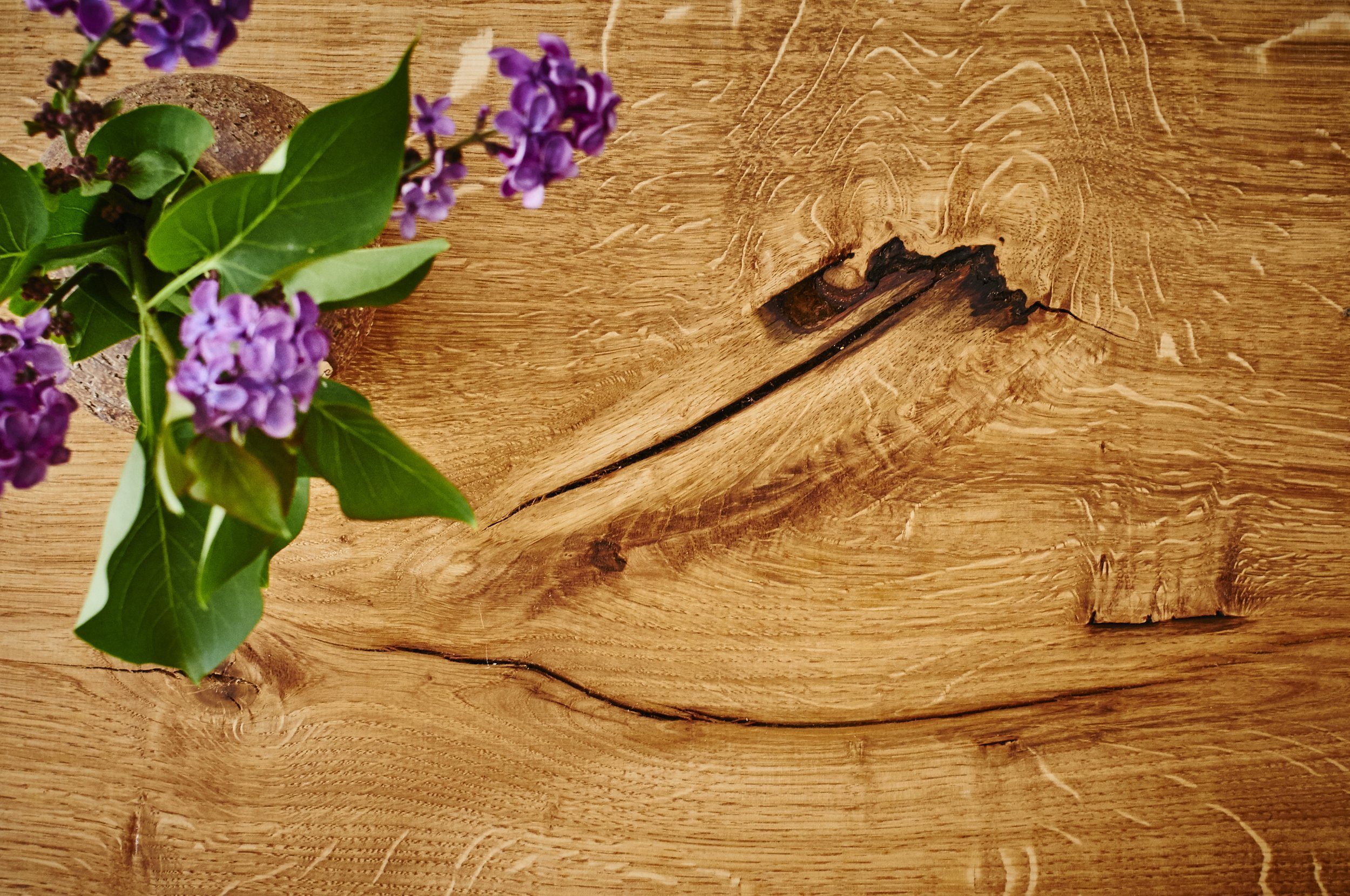 Living Oak Couchtisch Baumkanten Couchtisch Massivholz Eiche (Europäische Eiche, in Deutschland gefertigt), Massivholz Eiche Baumkante
