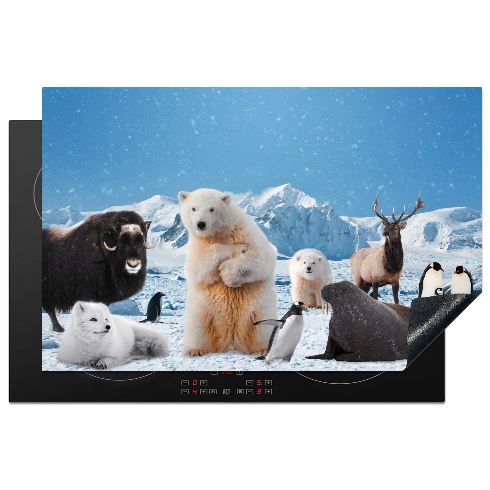 MuchoWow Herdblende-/Abdeckplatte Tiere - Große Fünf - Arktis, Vinyl, (1 tlg), 81x52 cm, Induktionskochfeld Schutz für die küche, Ceranfeldabdeckung