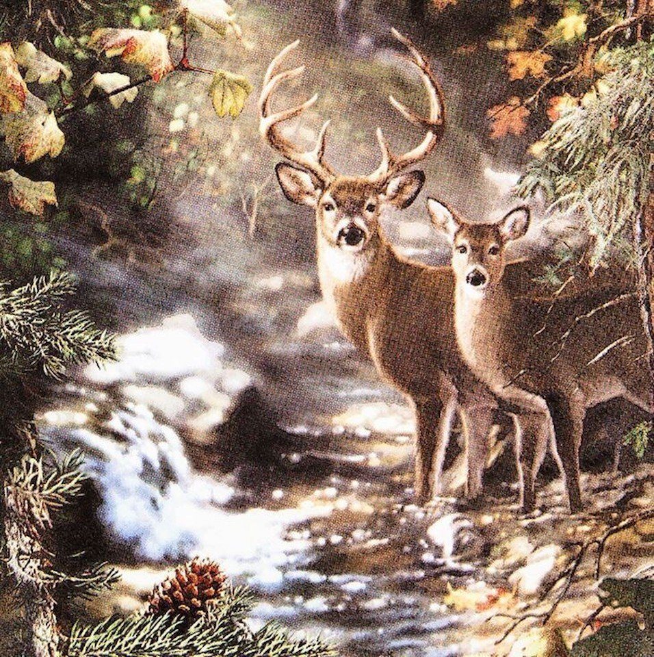 HOME FASHION Papierserviette Hirsch, an einem Bach ca. 33 cm, 3lagig, Reh Motivservietten, Hirsche, Wald Kollektion als Tischdeko, Decoupage, Салфеткиtechnik