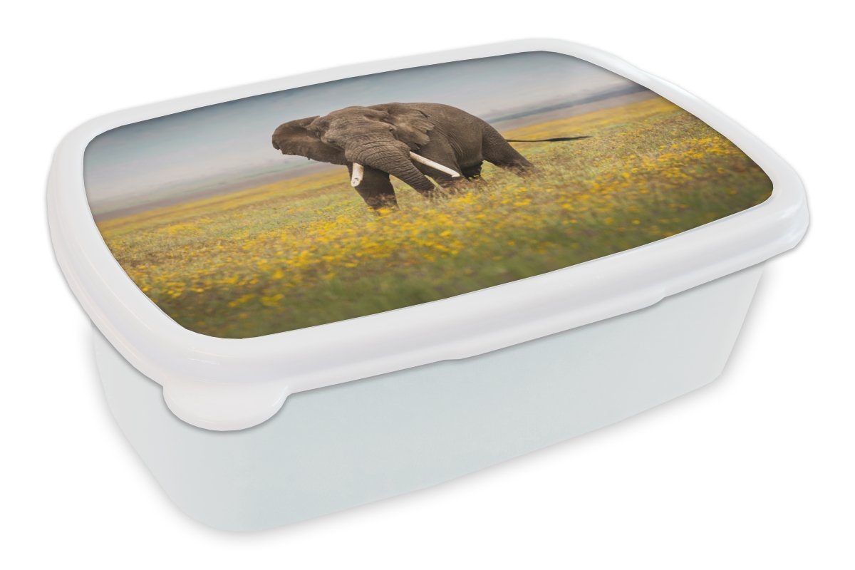 - Erwachsene, Kunststoff, weiß Blumen Lunchbox und und Tiere - Natur, für Brotbox MuchoWow Jungs Brotdose, für Mädchen Elefant - Gras (2-tlg), Kinder -