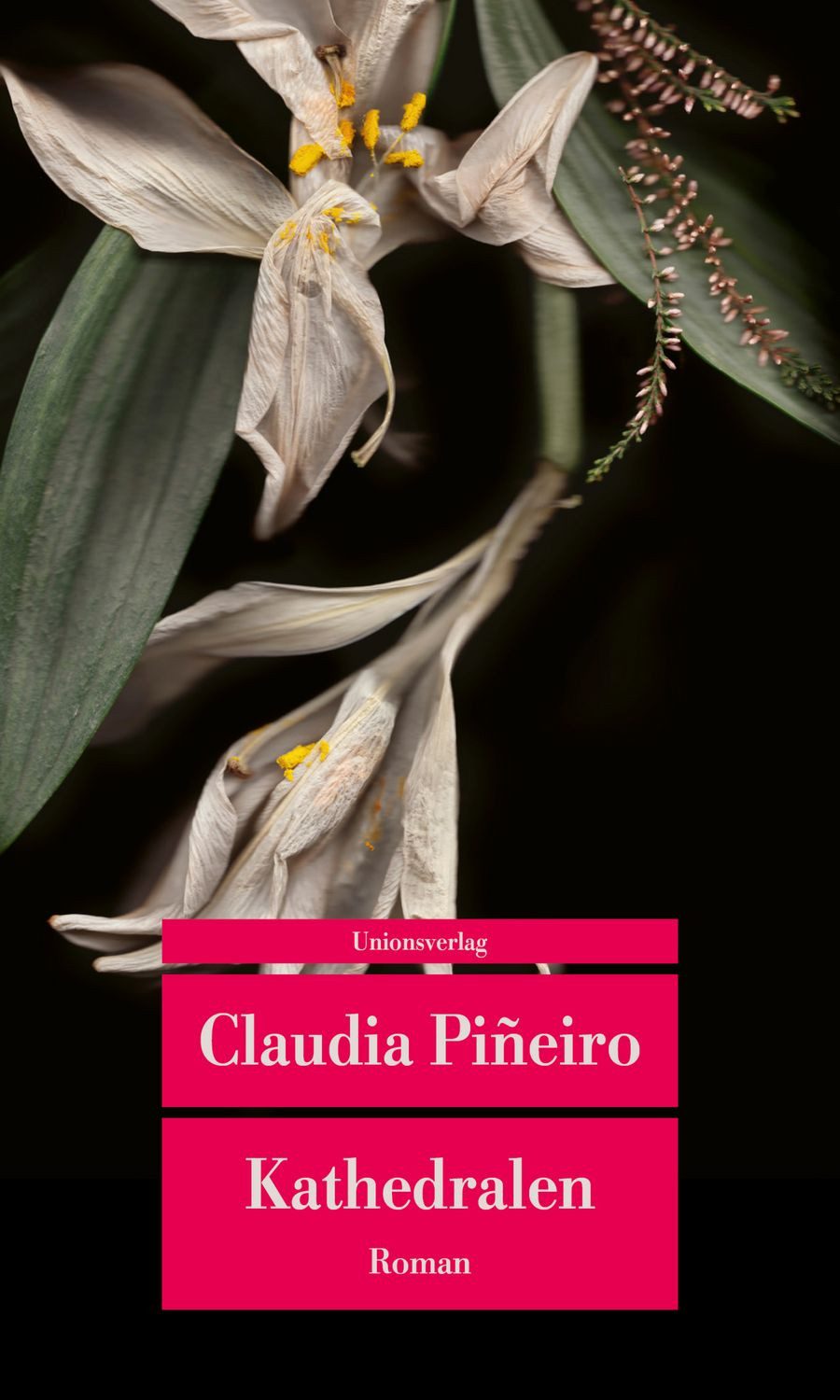 Kathedralen / Claudia Piñeiro