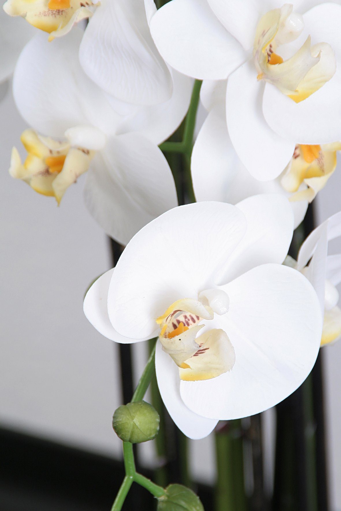 Blätter Living, Höhe Kunstpflanze mit Effekt Touch und real 80 der cm Wackadoo Orchidee, Orchidee Blüten