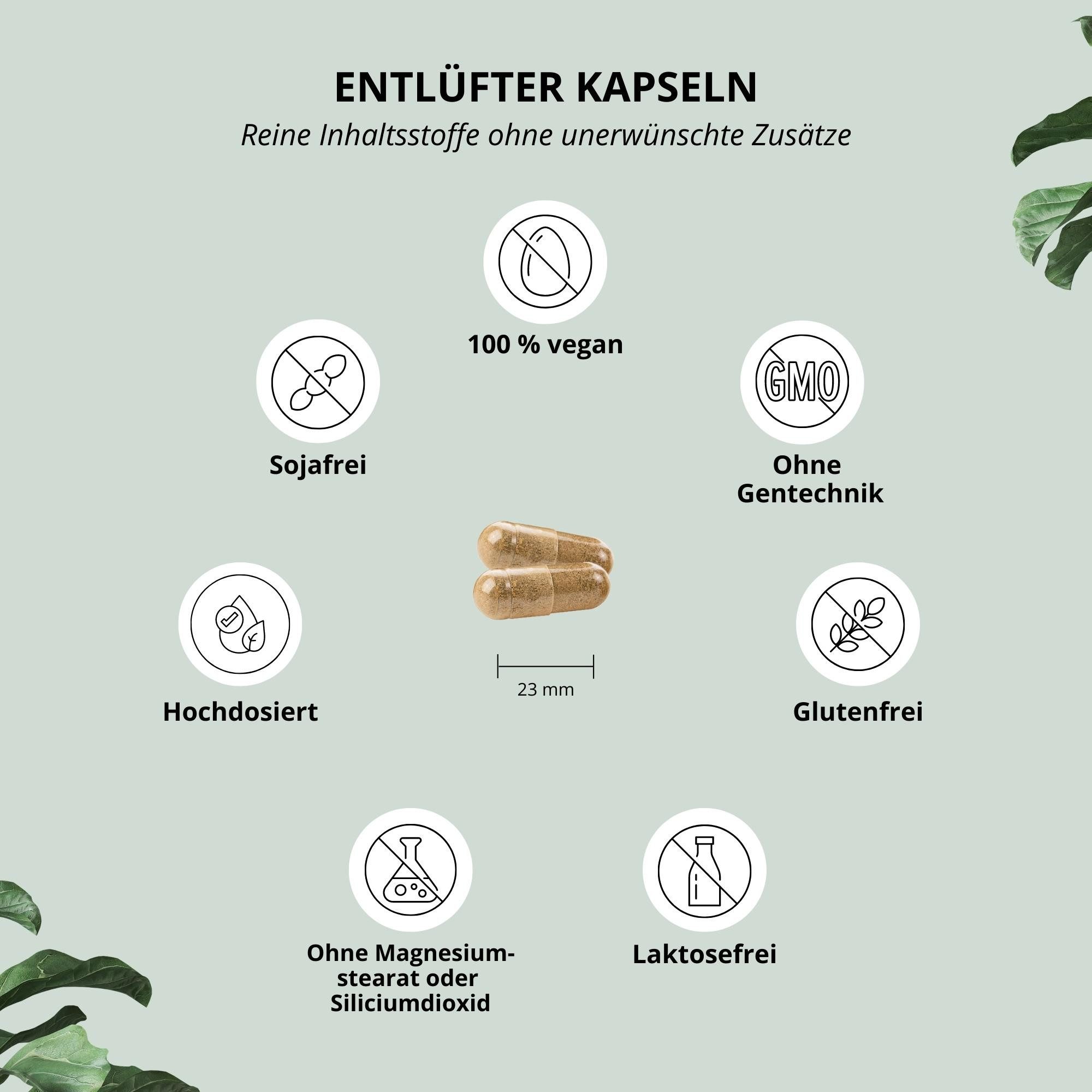 nutri+ Entlüfter Kapseln Kapseln