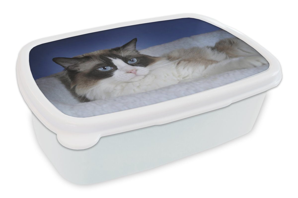 MuchoWow Lunchbox Liegende schwarz-weiße Ragdoll-Katze, Kunststoff, (2-tlg), Brotbox für Kinder und Erwachsene, Brotdose, für Jungs und Mädchen