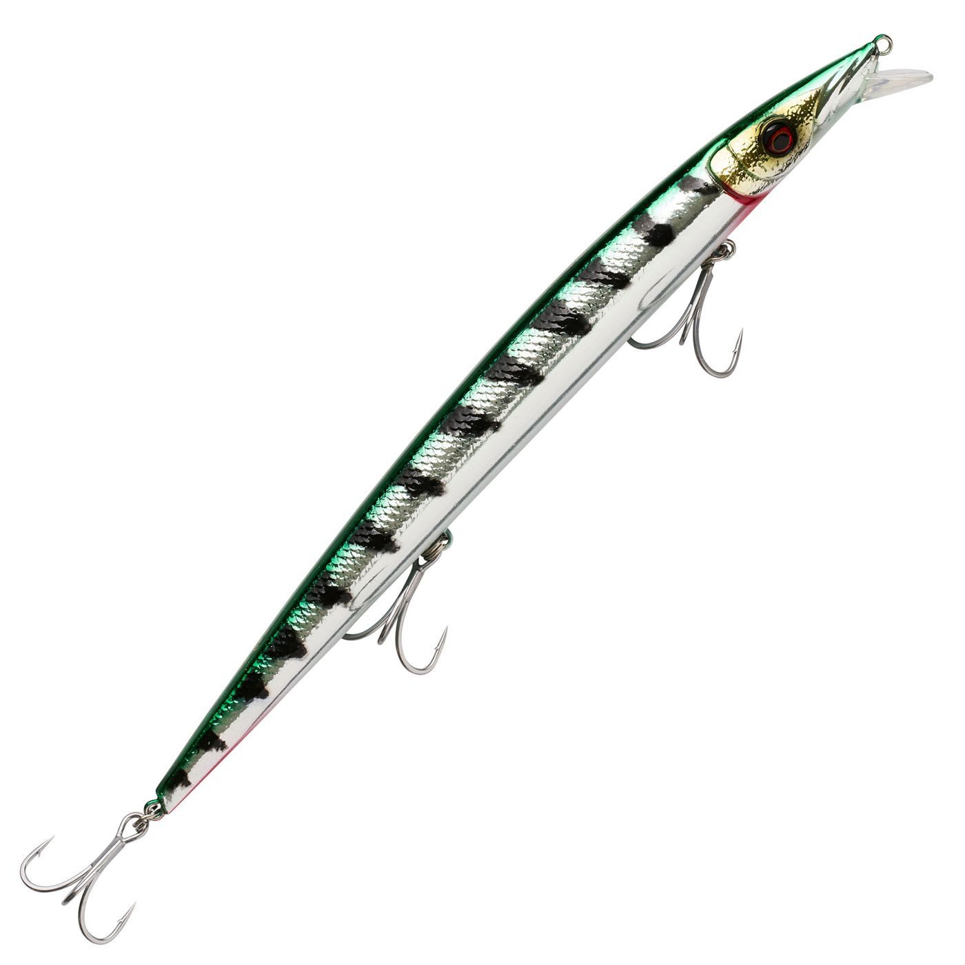 Green Barracuda