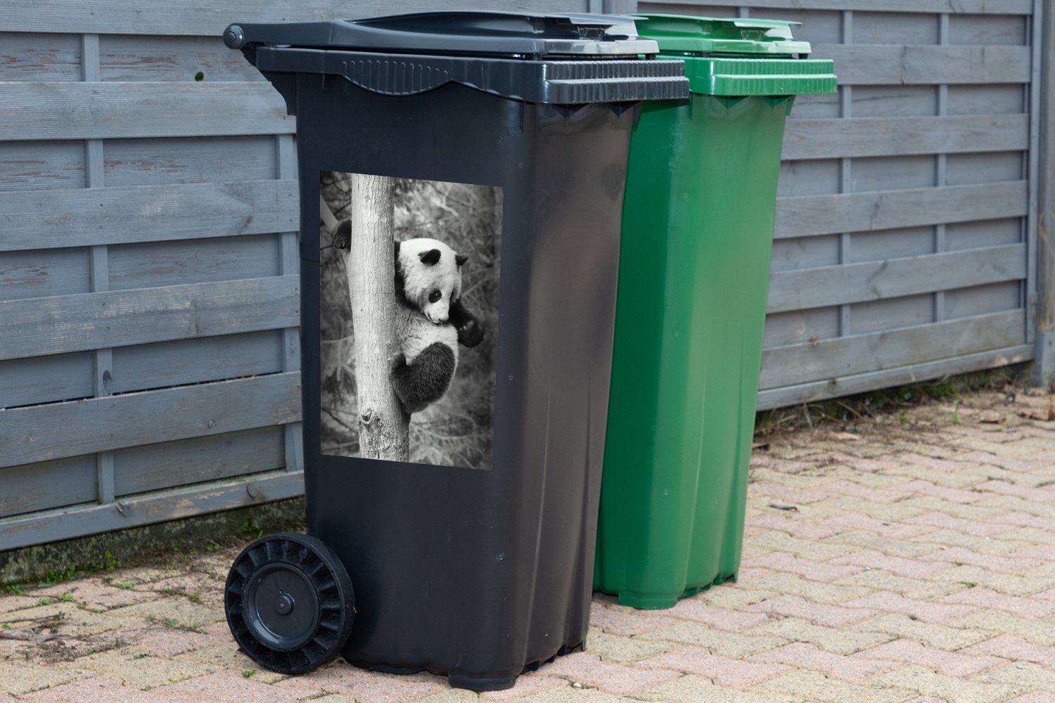 MuchoWow Wandsticker Panda Container, Mülltonne, schwarz-weiß auf (1 klettert Mülleimer-aufkleber, Abfalbehälter in Sticker, Baum St), einen