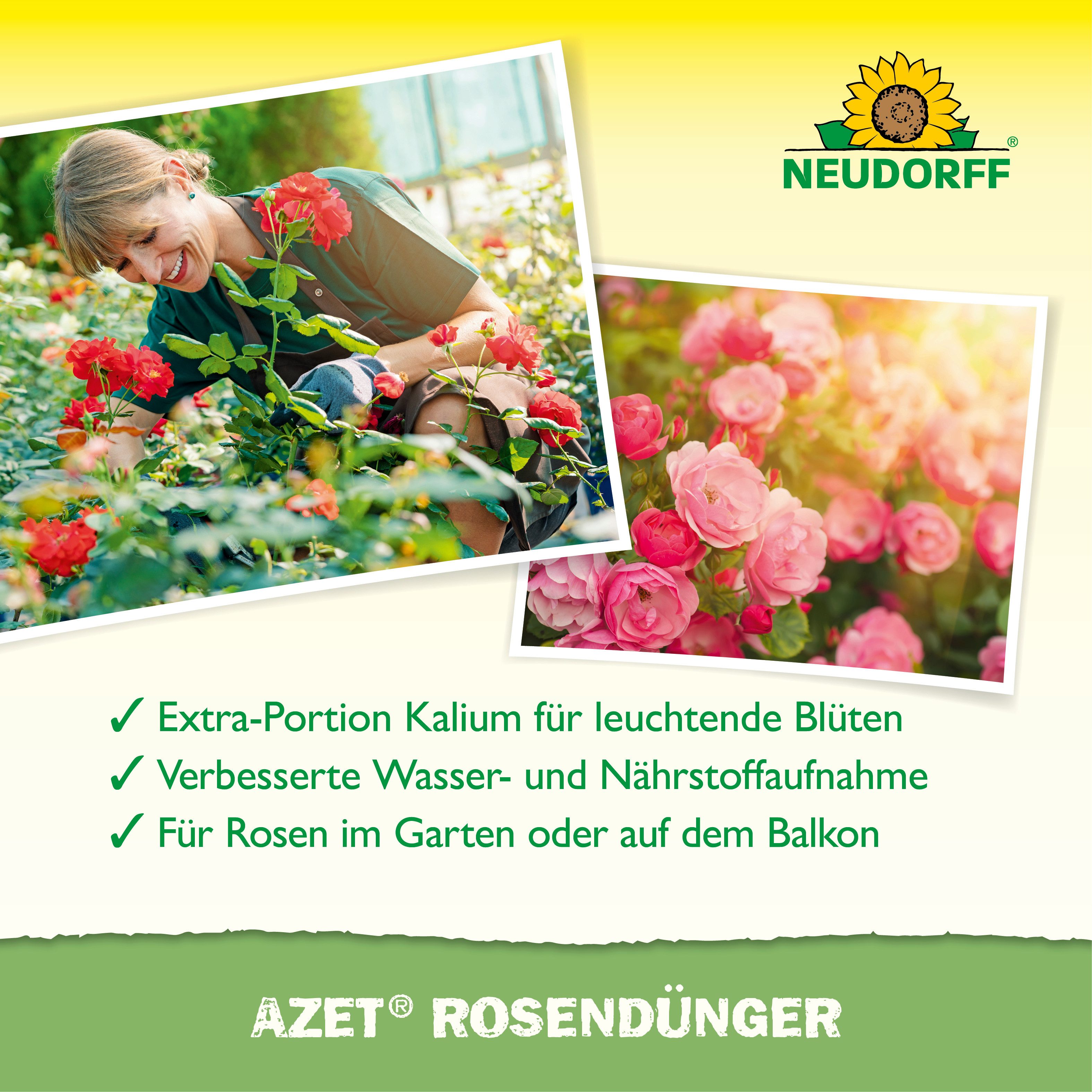 Neudorff Gartendünger Azet RosenDünger 1L für 200L Gießwasser, Flüssiger organischer NPK-Dünger für Rosen, 1 L für bis zu 200 L Gießwasser, Unterstützt neue Kno – Bild 4 von 5