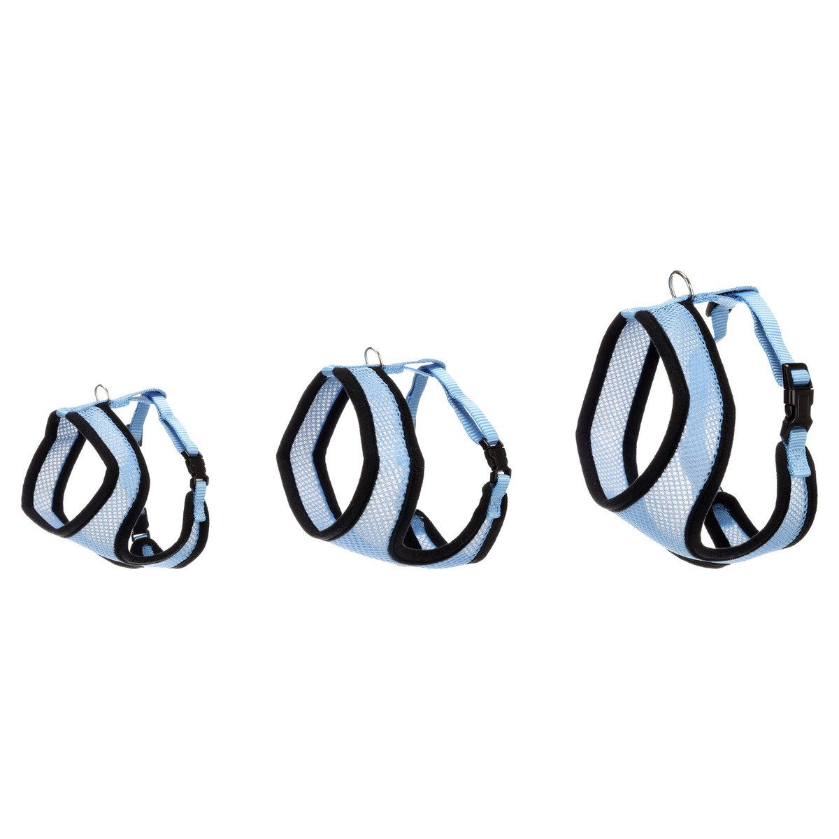 Flamingo Geschirr Harms Katzengeschirr-Set blau/schwarz