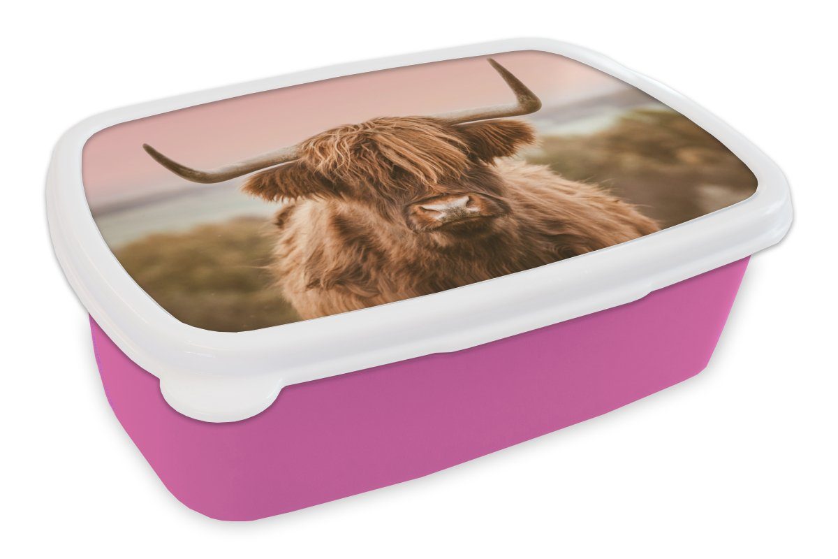 MuchoWow Lunchbox Kuh - Snackbox, Kinder, Schottischer (2-tlg), Erwachsene, Brotdose Tier, für Brotbox Kunststoff Kunststoff, - rosa Highlander Mädchen