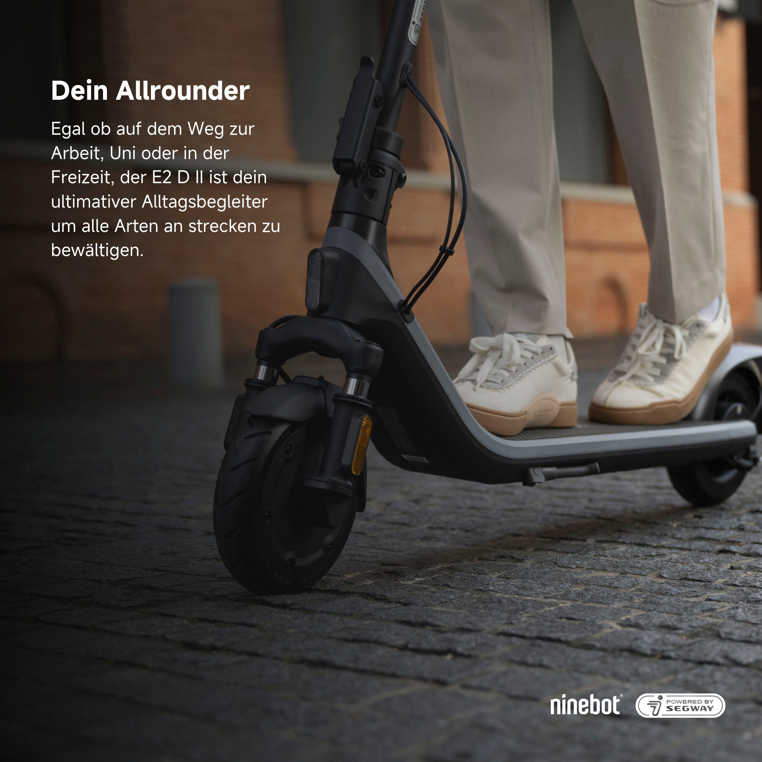 Segway E-Scooter KickScooter E2 D II, 20 km/h, Ninebot E-Scooter, mit Straßenzulassung, bis zu 25 km Reichweite