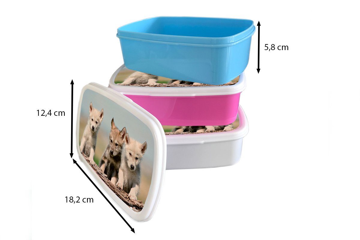 Lunchbox Kinder, (2-tlg), Kind Brotdose rosa - Holz, Snackbox, Erwachsene, für Brotbox Kunststoff, MuchoWow Wolf - Kunststoff Mädchen,