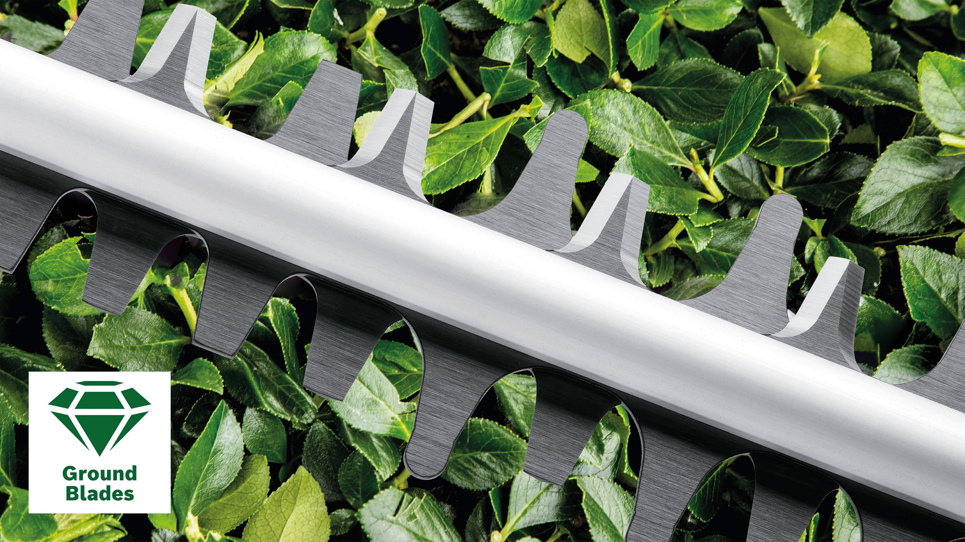 Bosch Home & Garden Akku-Heckenschere AdvancedHedgeCut 36V 65 28, ohne Akku und Ladegerät