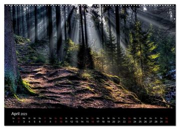 CALVENDO Wandkalender Naturpark Teutoburger Wald - Silberbach (Premium, hochwertiger DIN A2 Wandkalender 2023, Kunstdruck in Hochglanz)