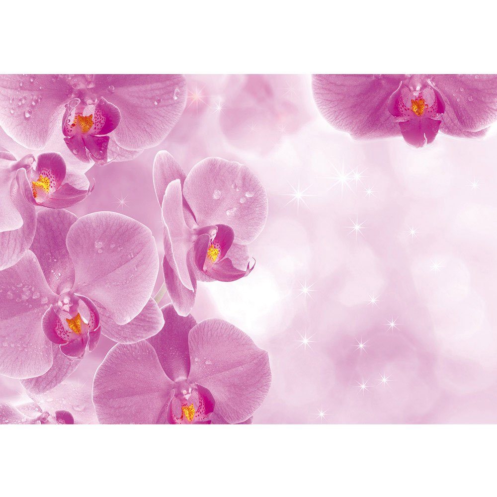 liwwing Fototapete Fototapete Orchidee Tropfen Rosa Wellness lila liwwing no. 407, Orchideen