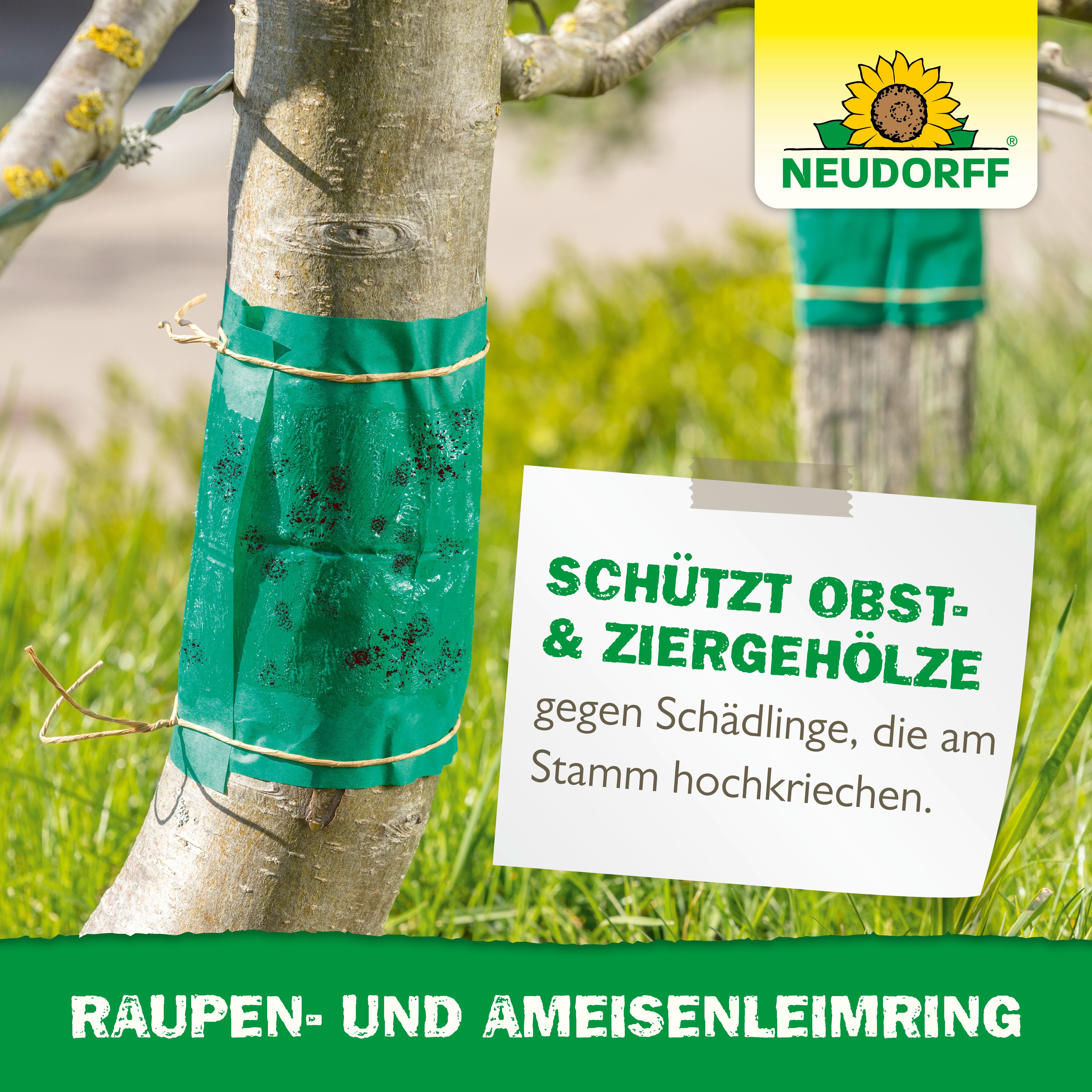 Neudorff Klebefalle Raupen- und AmeisenLeimring, 3 m mechanische Leimbarriere gegen hochkriechende Schädlinge – Bild 5 von 5