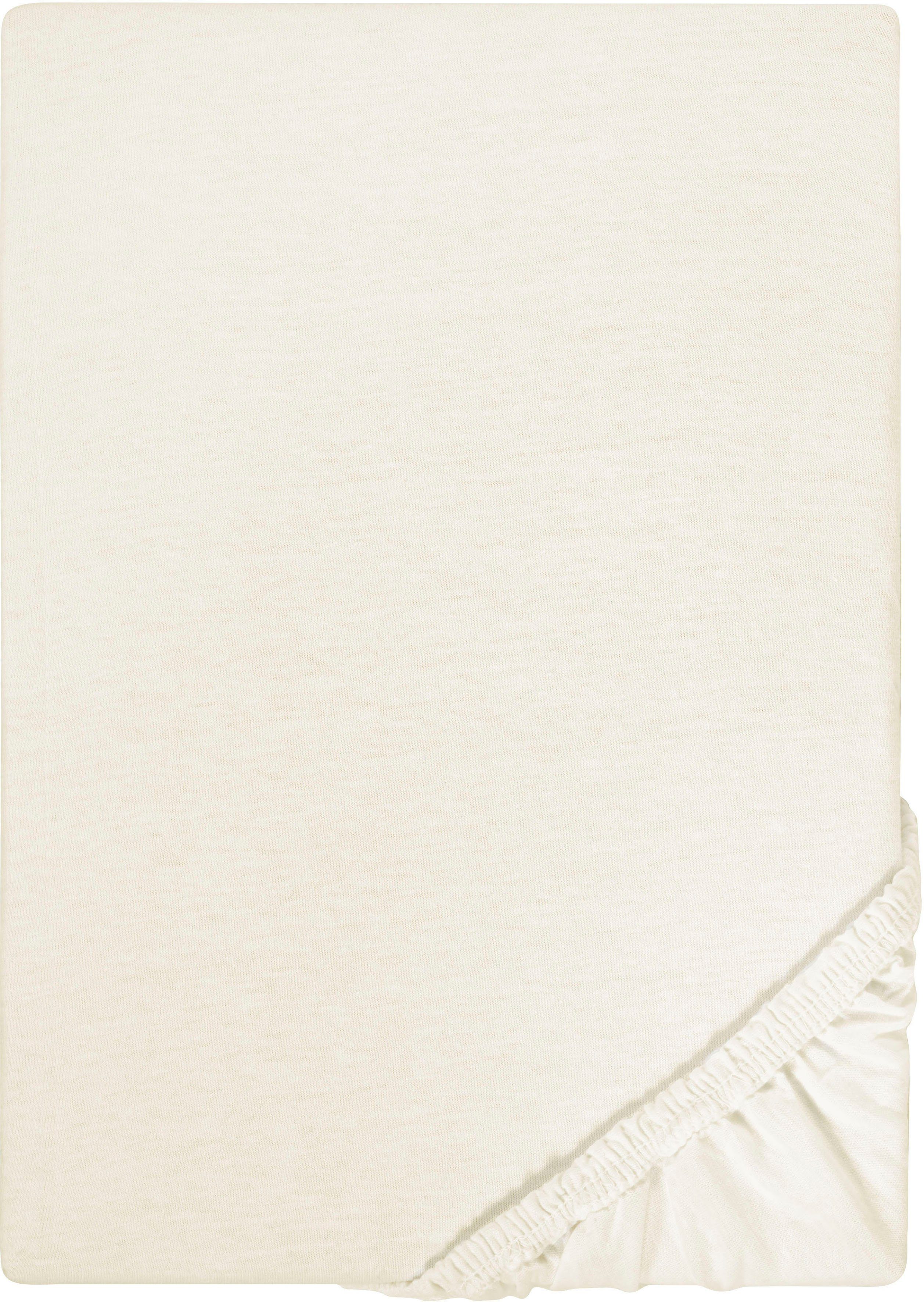 Castell - Markenbettwäsche Spannbettlaken Jersey in Gr. 90x200, 140x200 ode günstig online kaufen