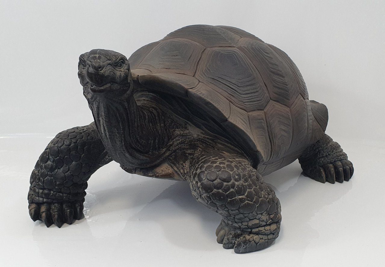Trend Line Gartenfigur Dekofigur Schildkröte groß 34 x 50 x 60 cm