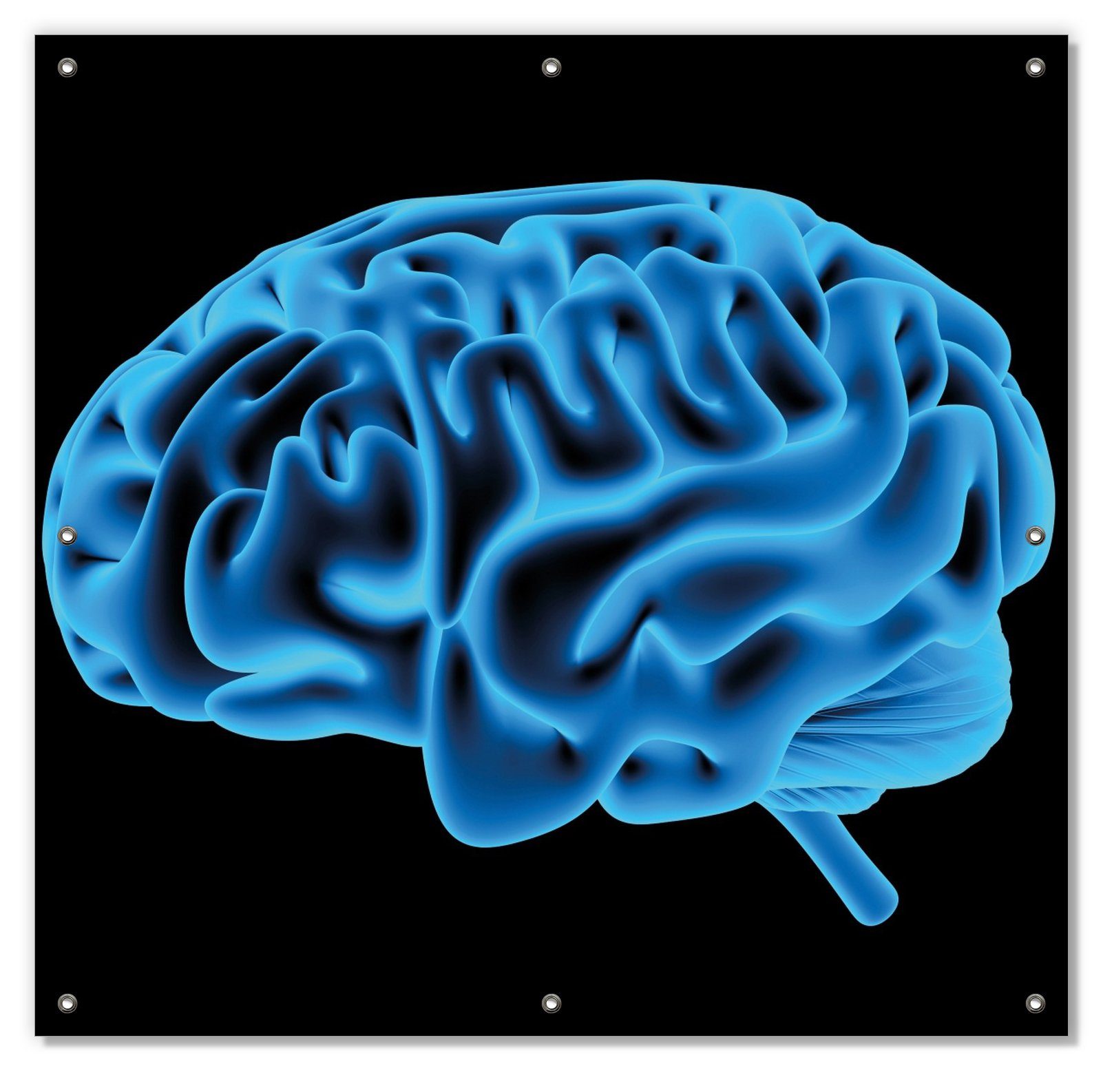 Sonnenschutz Menschliches Gehirn in leuchtend blauer Farbe, Wallario, blickdicht, mit Saugnäpfen, wiederablösbar und wiederverwendbar