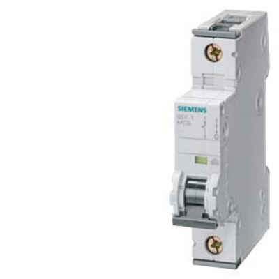 SIEMENS Schalter Siemens 5SY41026 5SY4102-6 Leitungsschutzschalter 2 A 230 V, 400