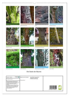 CALVENDO Wandkalender Die Seele der Bäume (Premium, hochwertiger DIN A2 Wandkalender 2023, Kunstdruck in Hochglanz)