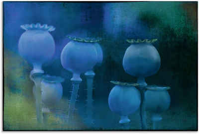Artland Wandbild Blaumohn, Zen Bilder (1 St), als Alubild, Outdoorbild in verschied. Größen