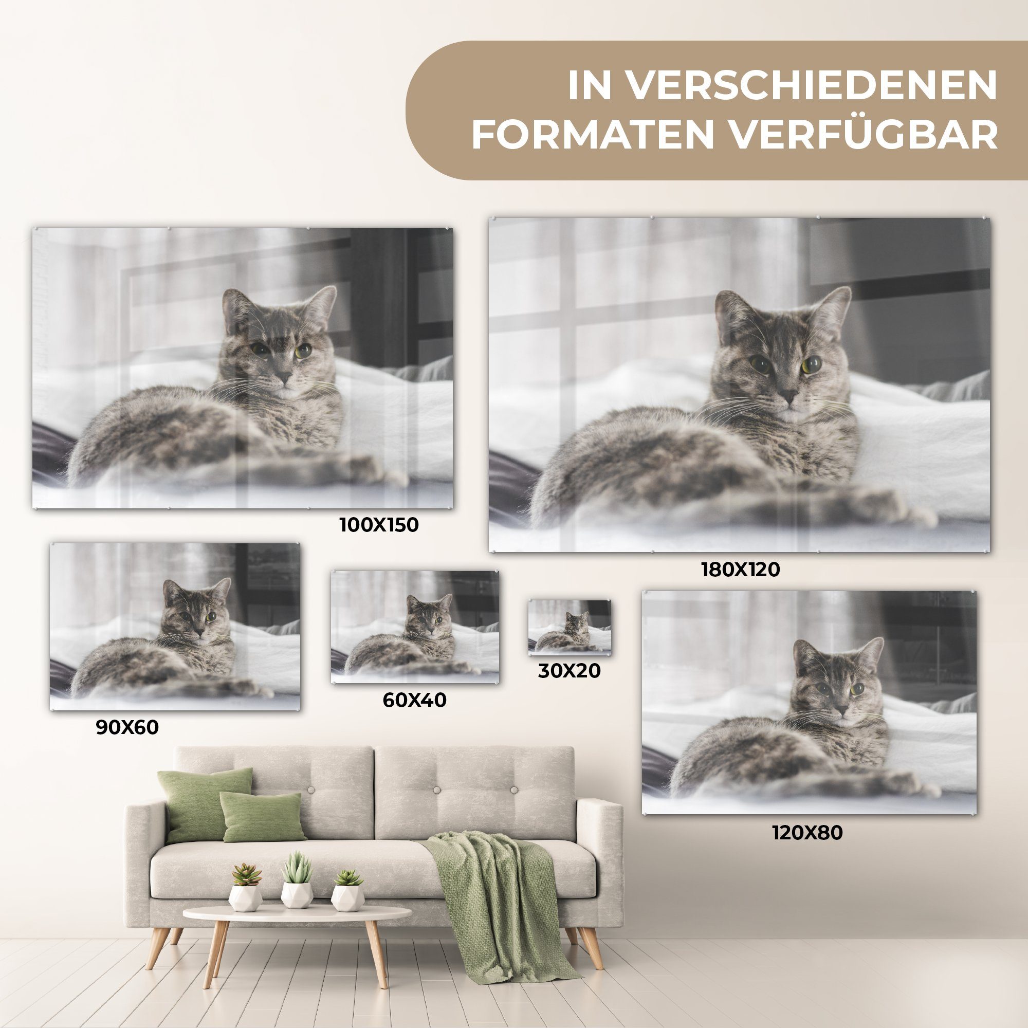 (1 St), Bettlaken Schlafzimmer Acrylglasbilder Katze Bett, MuchoWow - Acrylglasbild Wohnzimmer - &