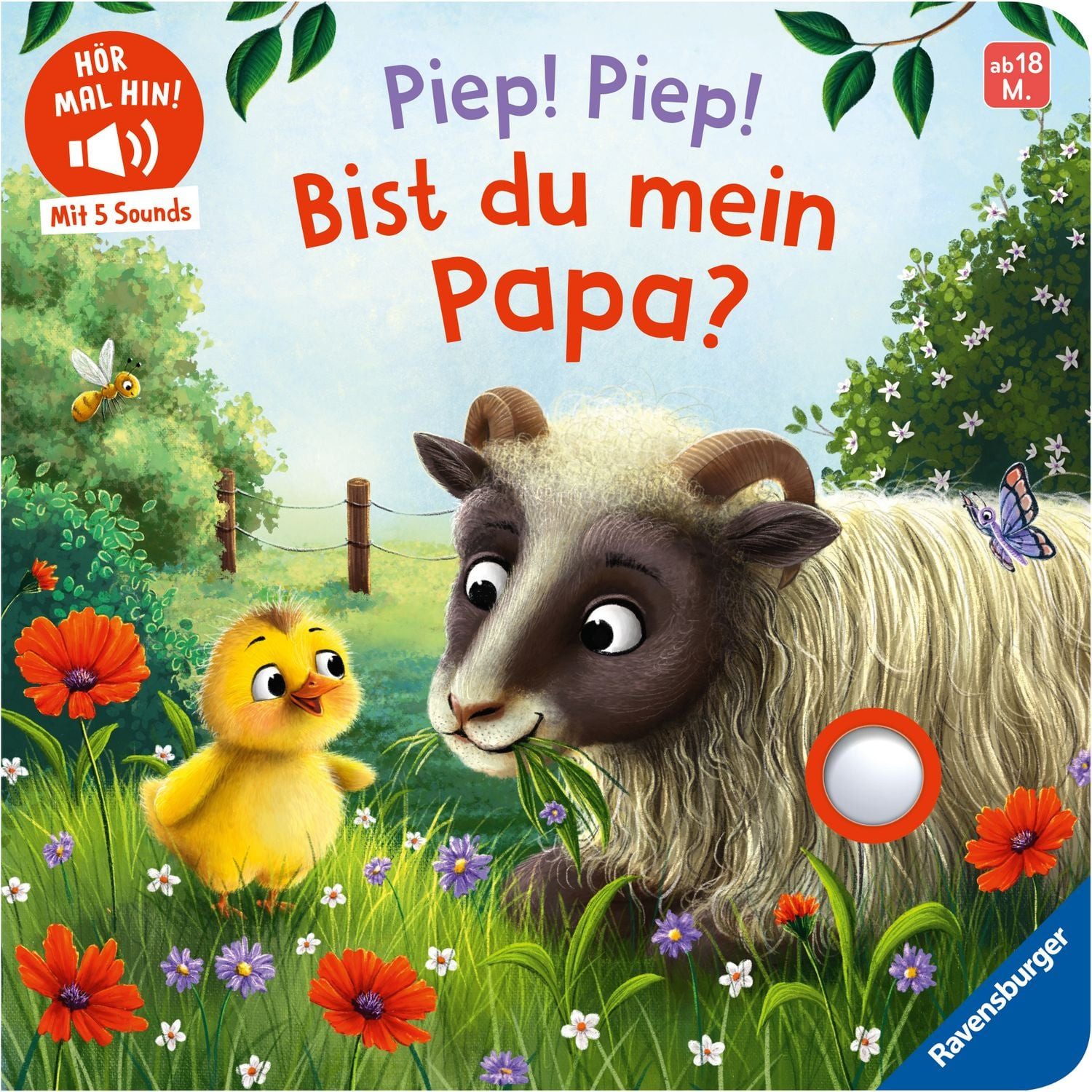 Hör mal hin - Piep! Piep! Bist du mein Papa? / Bernd Penners