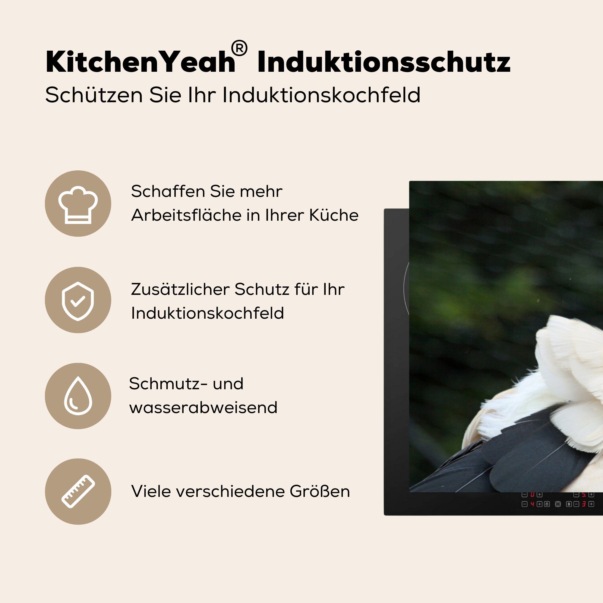 MuchoWow Herdblende-/Abdeckplatte Königsgeier blickt zurück, für Vinyl, Induktionskochfeld Schutz Ceranfeldabdeckung küche, (1 81x52 die cm, tlg)