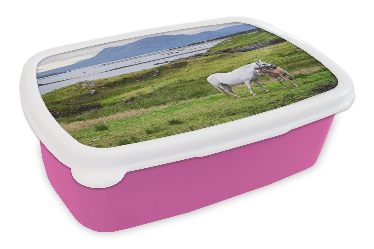in Lunchbox MuchoWow Mutterpferd Fohlen Snackbox, Kunststoff rosa (2-tlg), Kunststoff, Irland, und Erwachsene, Kinder, für Brotbox Mädchen, Brotdose