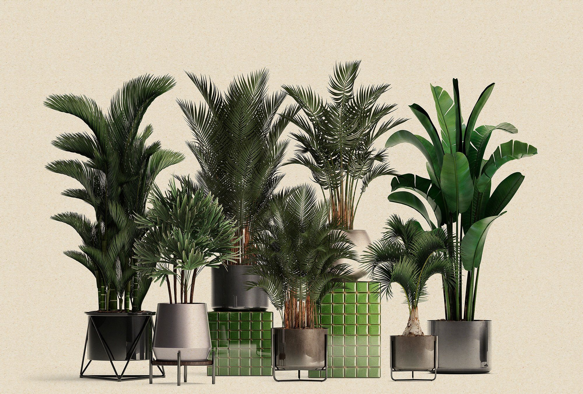 Shop, Wand living Plant grün walls Fototapete Vlies, Walls glatt, Patel by