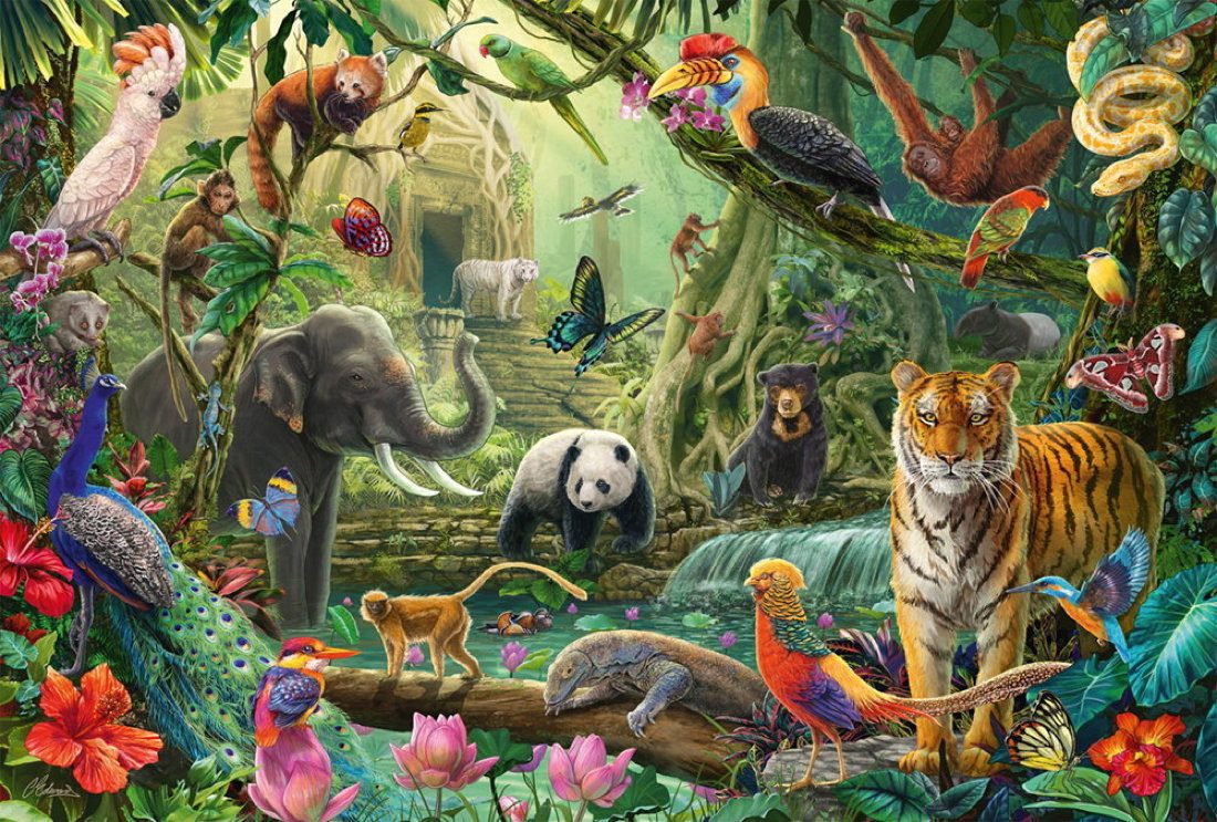 Schmidt Spiele Puzzle 100 Teile Kinder Puzzle Bunte Tierwelt im Dschungel 5 günstig online kaufen