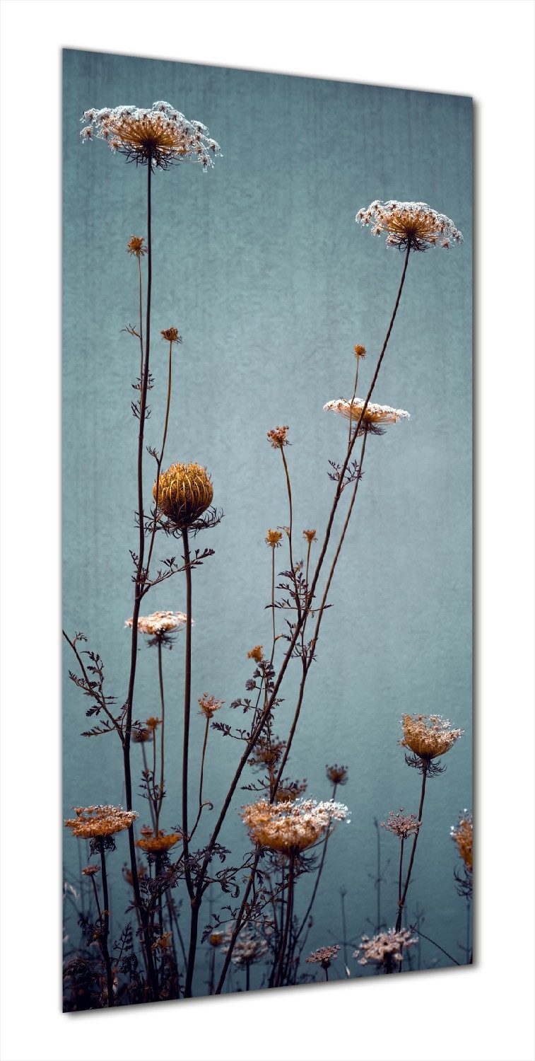 Wallario Duschrückwand Filigrane Wildblumen, (1-tlg)