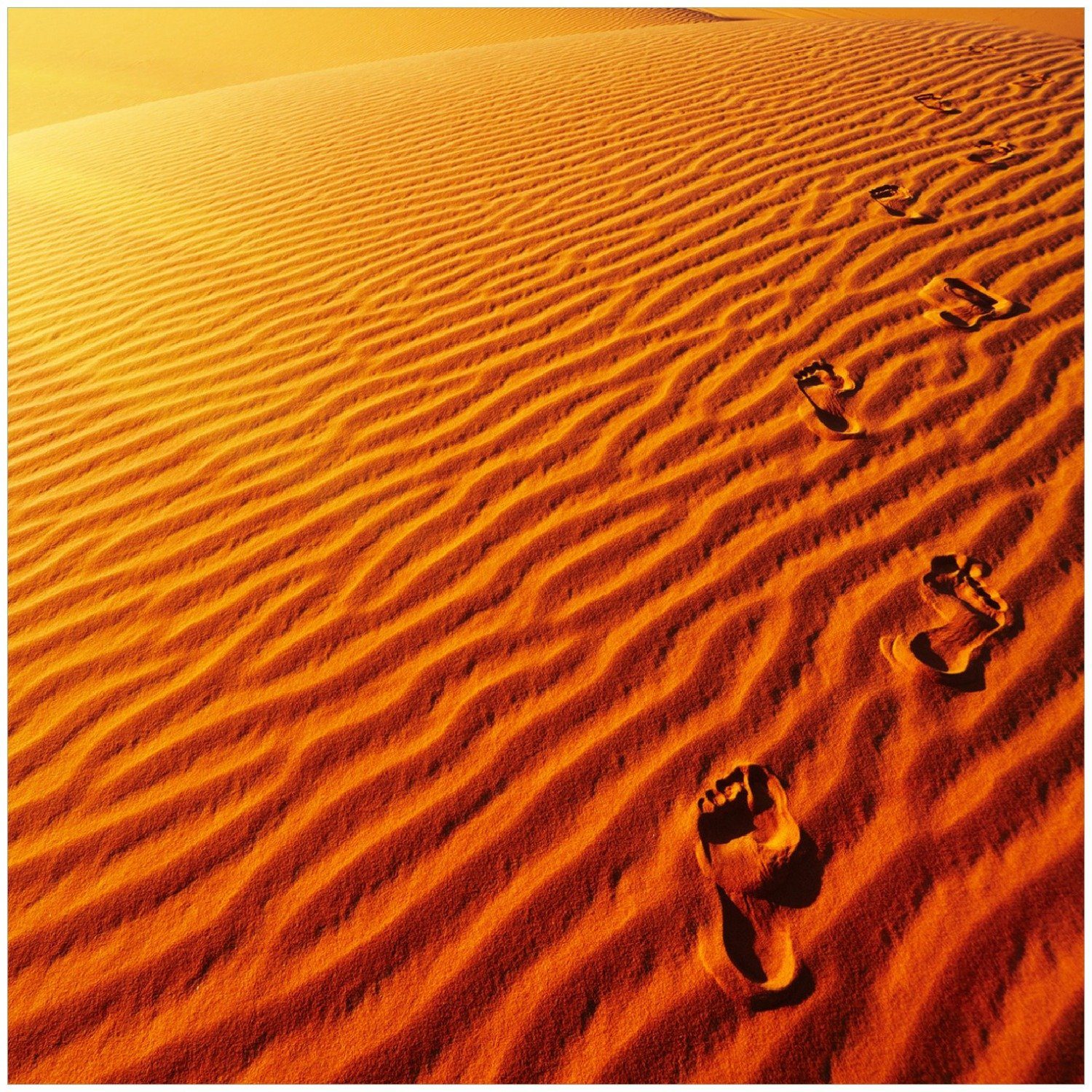 Wallario Memoboard Fußspuren im Sand - Sanddüne in der Wüste | Wandtafeln