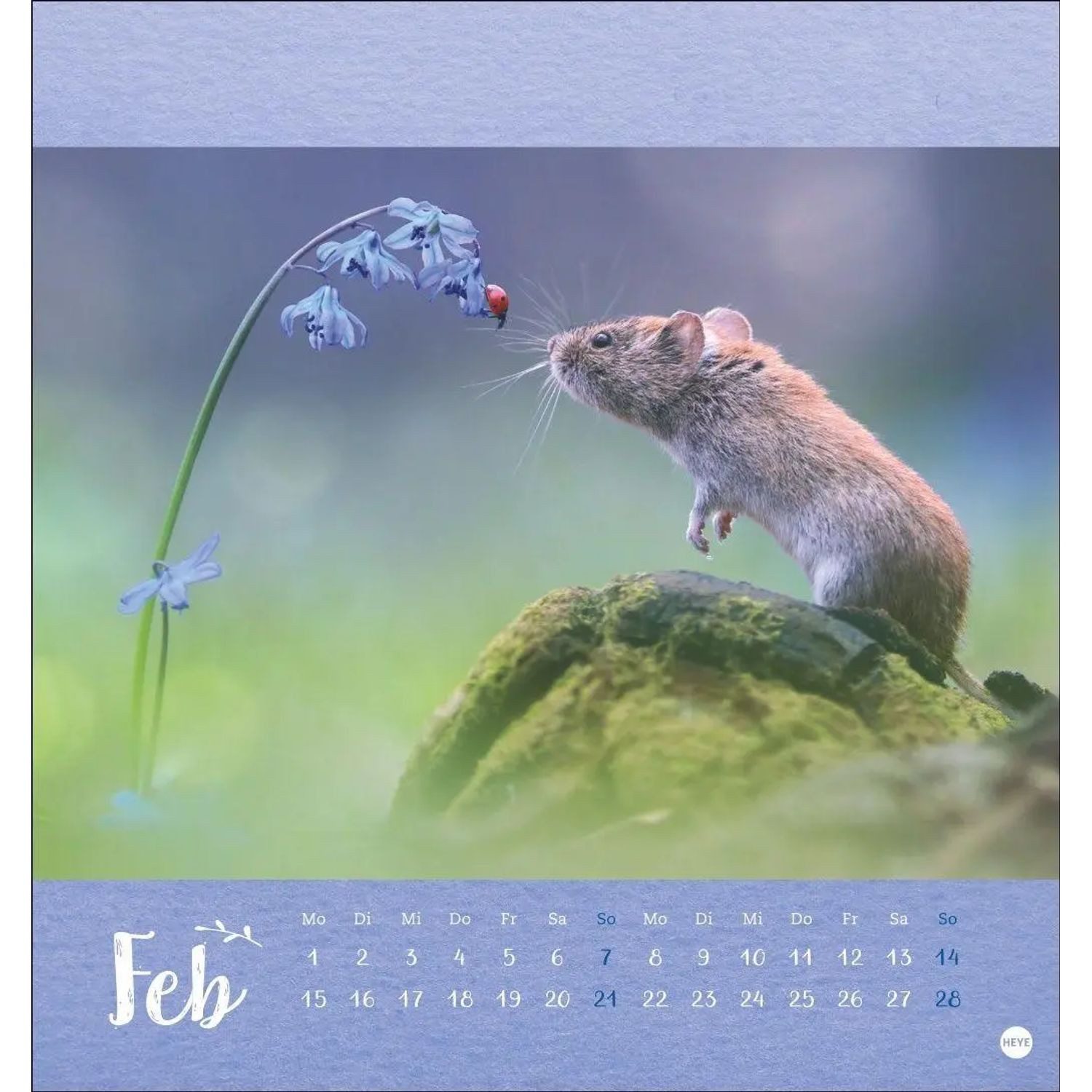 HEYE Wandkalender Vadim Trunov: Märchenhaftes Waldleben Postkartenkalender 2027