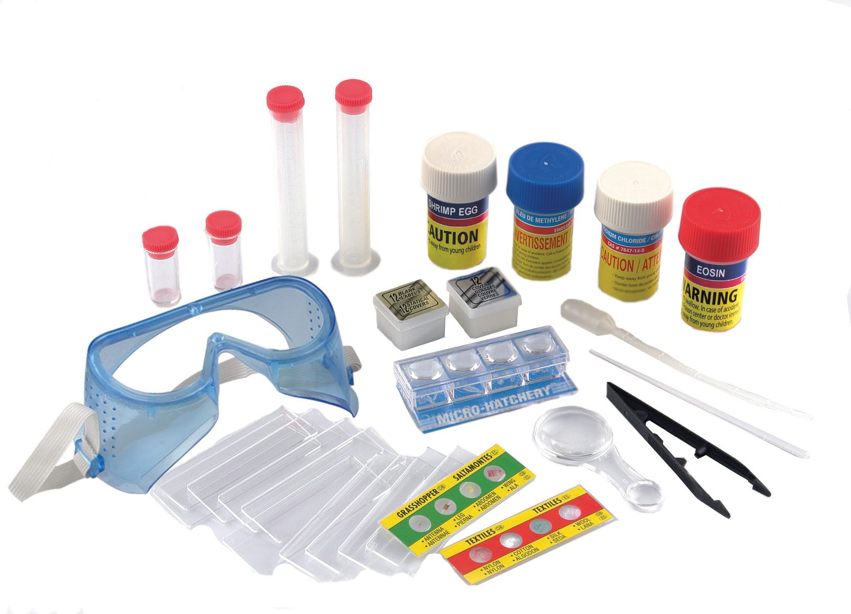 Edu-Toys SM063 Präparateset Kindermikroskop (Zubehörset für Schülermikroskope)