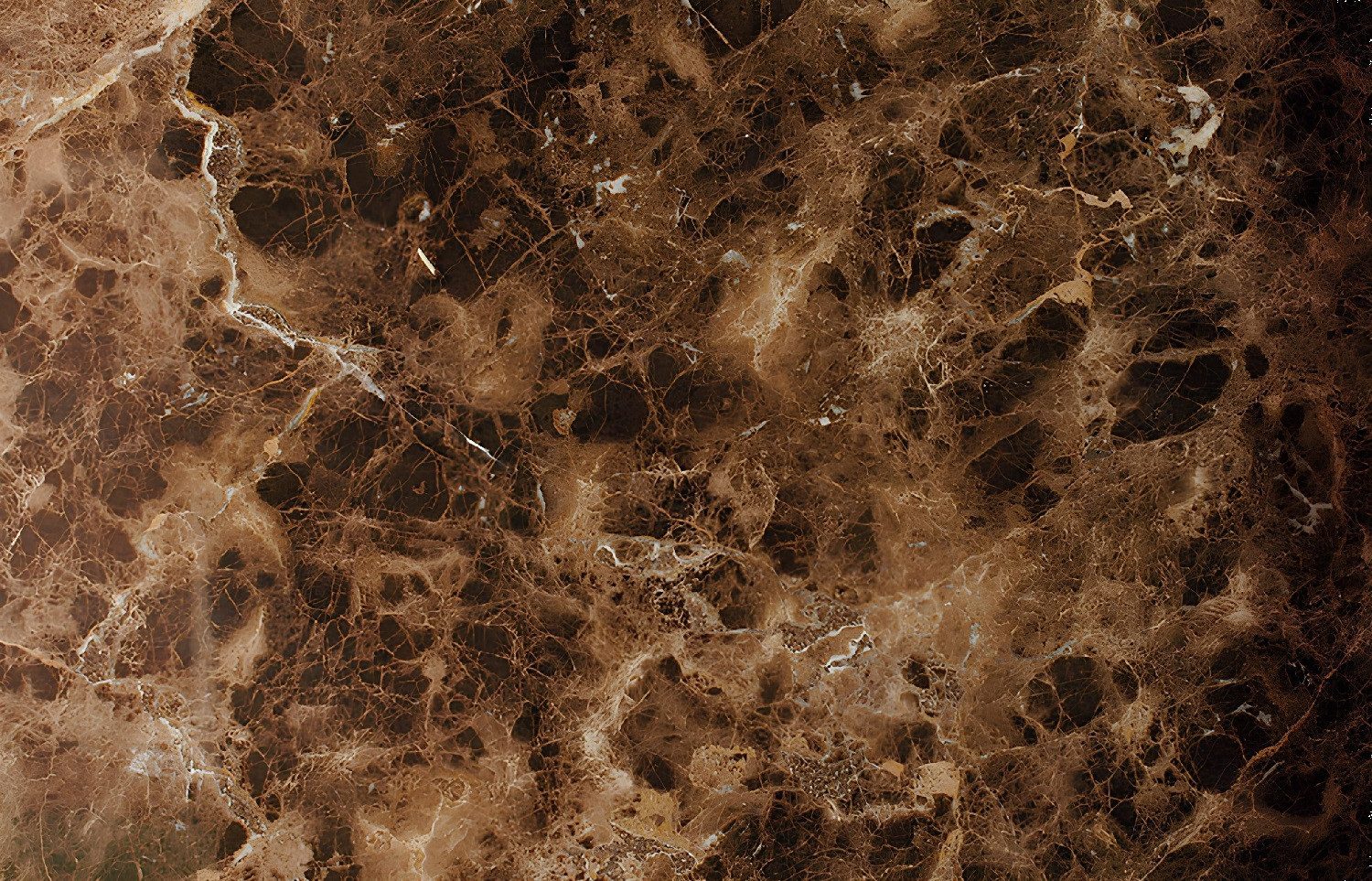 Xlmoebel Bodenfliese Dunkler Emperador Marmor Bodenfliesen Naturstein Плиткаbela 20m², Marmor, CREMA MARFIL, Marmor DARK EMBERADOR 40x60 cm 20m², Hergestellt in Europa