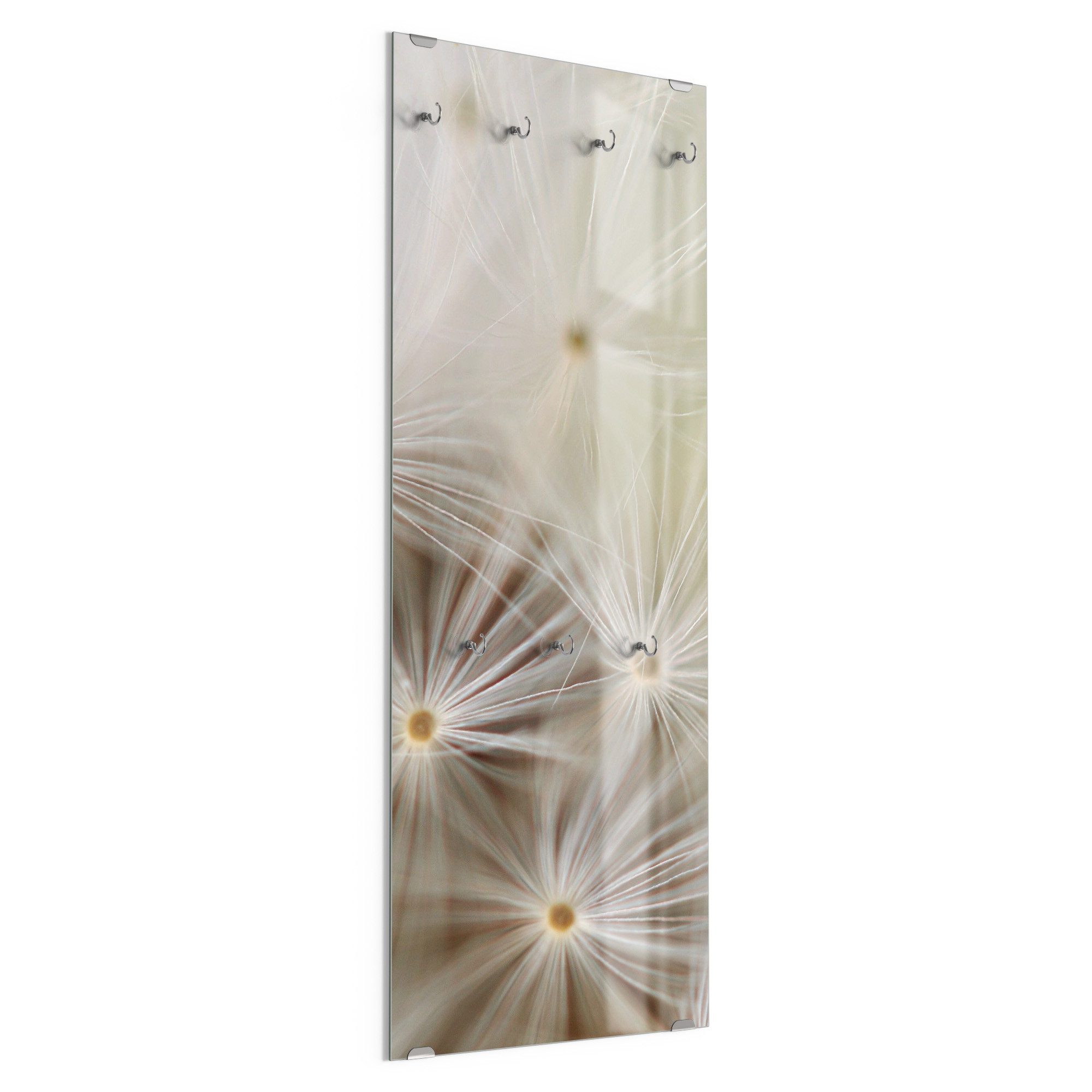 DEQORI Kleiderhaken 'Pusteblume ganz nah', Glas Garderobe hängend Flur Jackenhalter modern Wandgarderobe Haken