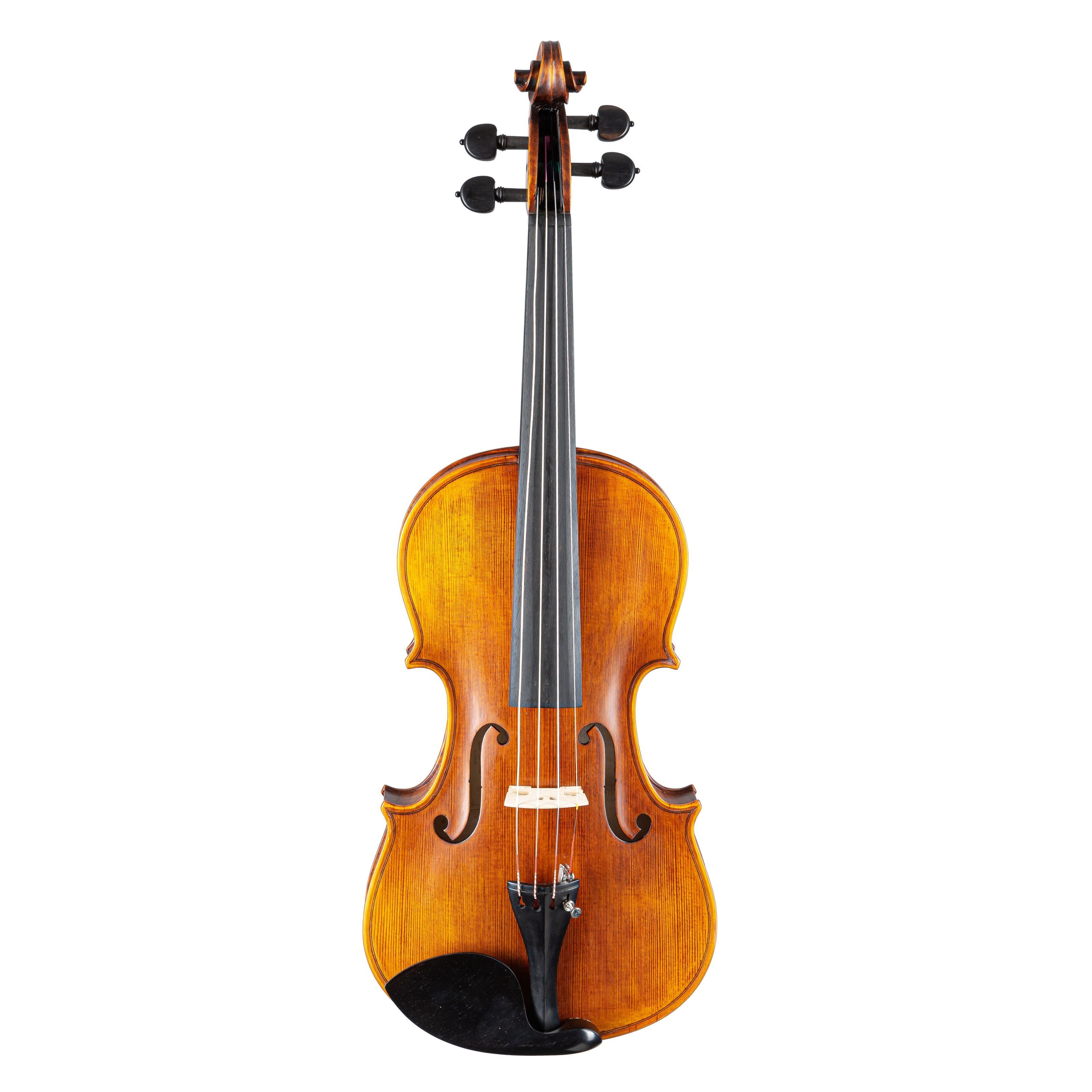 Stentor Violine, Violinen / Geigen, Akustische Violinen, 4/4 Violine Arcadia - Violine
