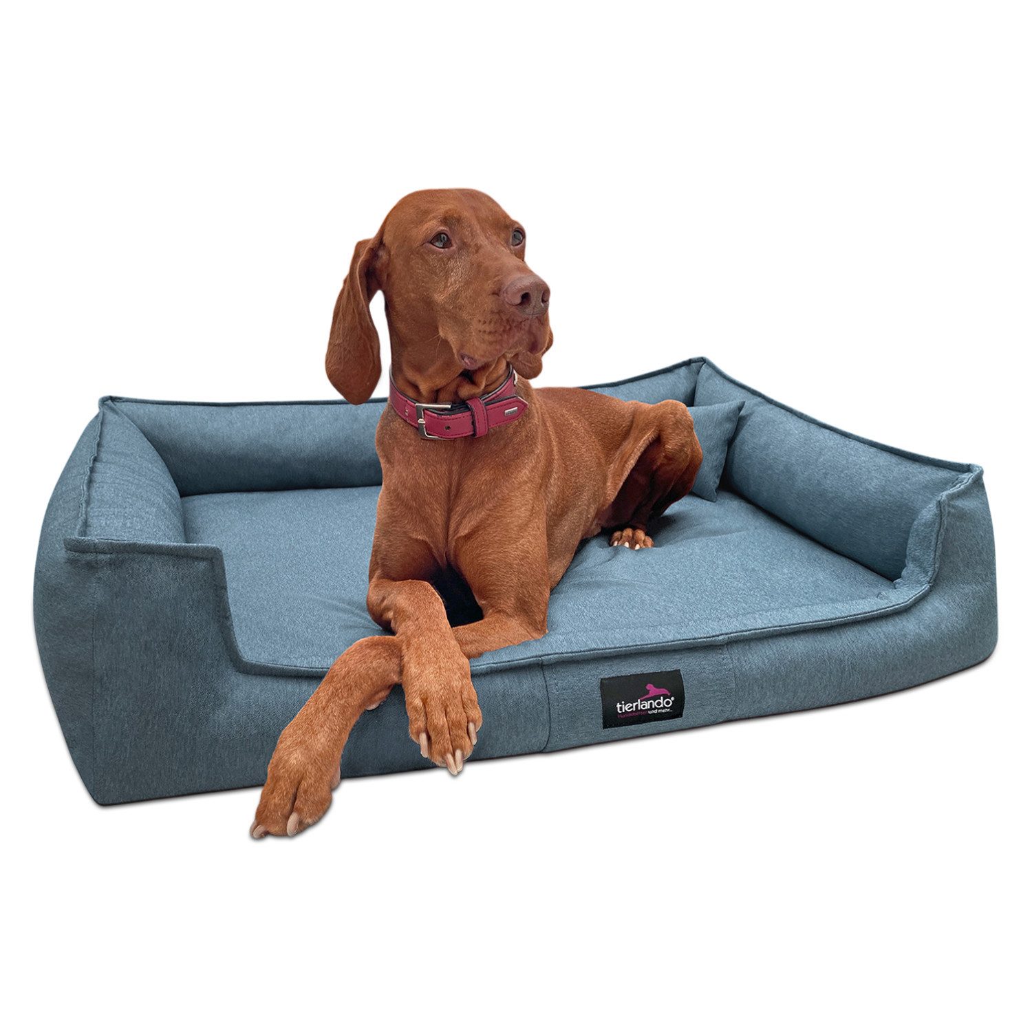 Tierbett Orthopädisches Hundebett GUSTAV SCANDI CHIC Große Hunde XL Hundesofa