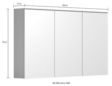 INOSIGN Spiegelschrank Premont (1-St) 120 cm breit / 70 cm hoch, Spiegelschrank Türen mit Soft-Close