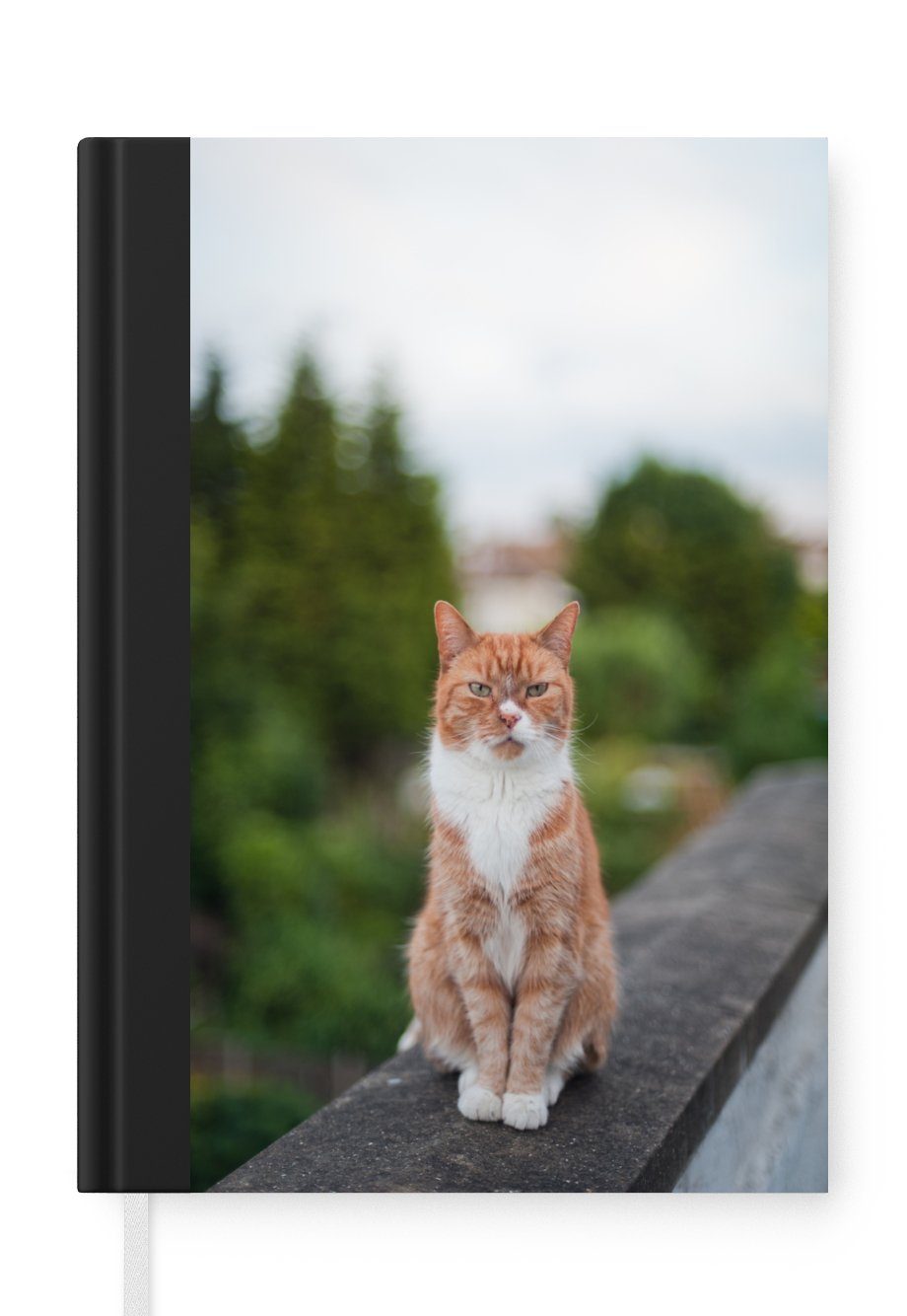 MuchoWow Notizbuch Katze - Balkon - Wald - Mädchen - Kinder - Jungen - Kinder, Journal, Merkzettel, Tagebuch, Notizheft, A5, 98 Seiten, Haushaltsbuch