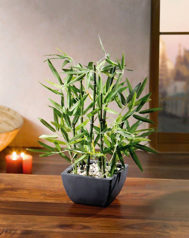 Kunstbambus »Bambus im Topf Kunstpflanze Kunstbambus Kunstblume Deko  Pflanze Zimmerpflanze«, Home-trends24.de online kaufen | OTTO